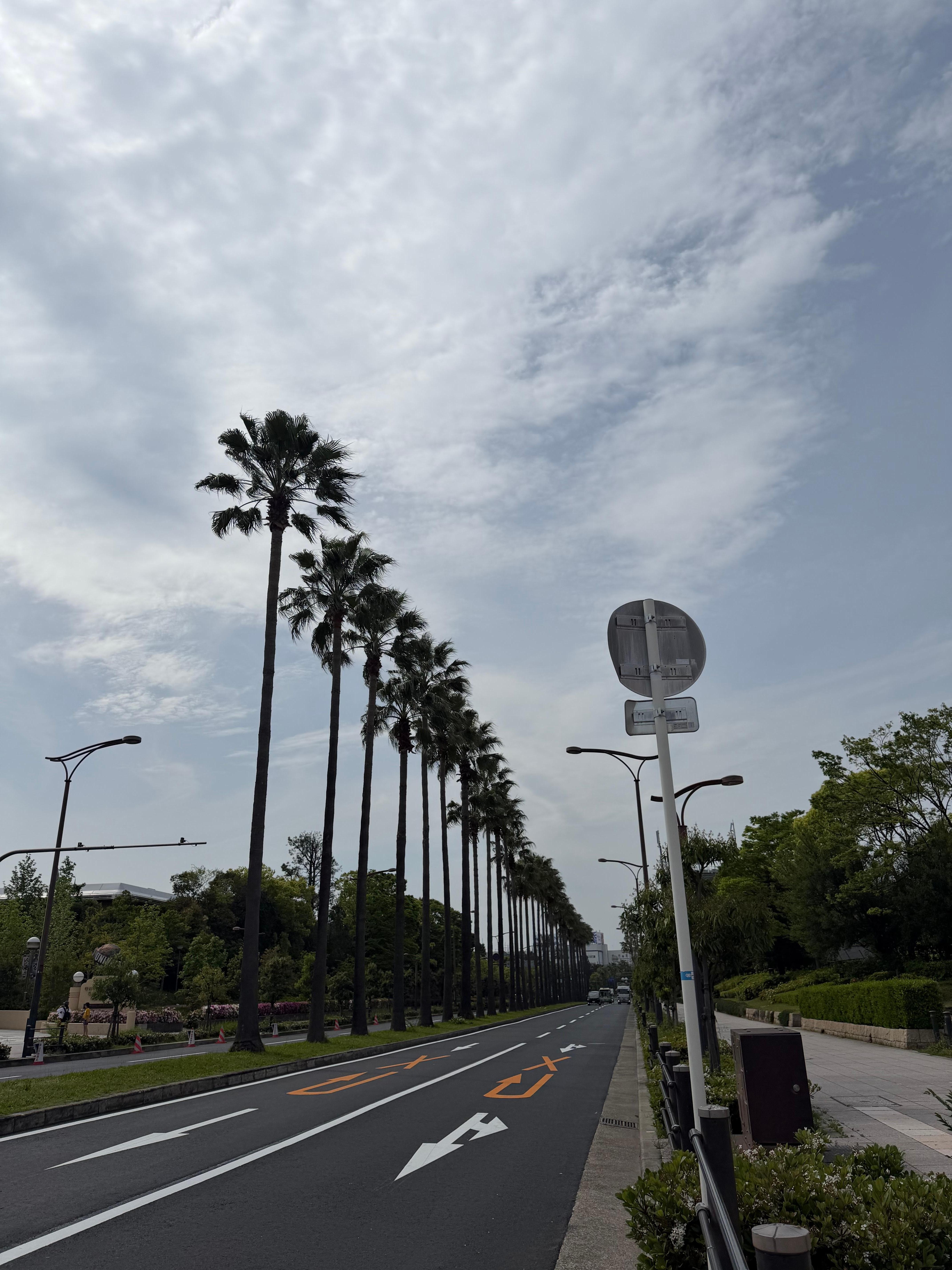 ユニバ迄気持ち良くお散歩出来ました