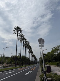 ユニバ迄気持ち良くお散歩出来ました