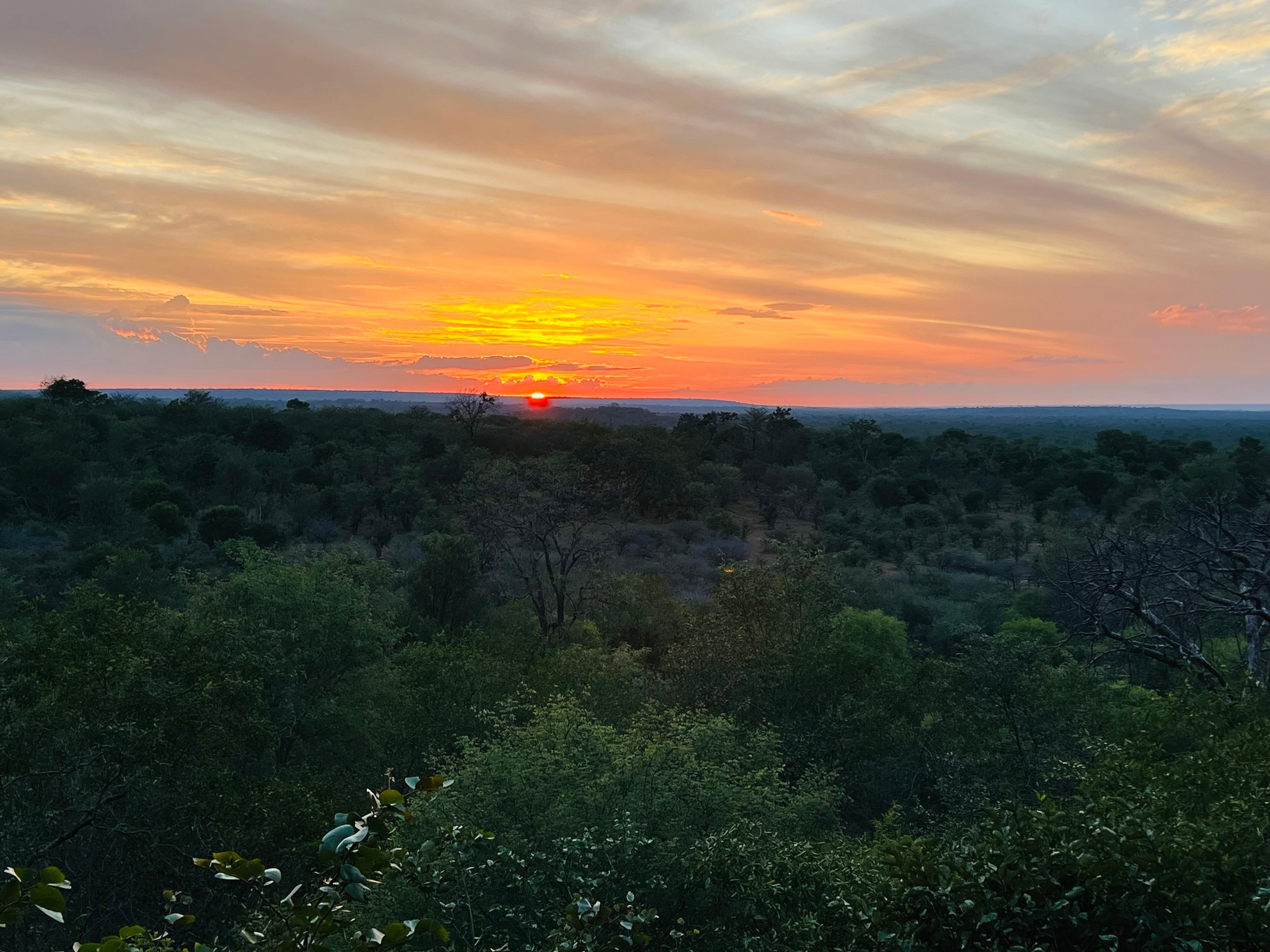 View from the room
