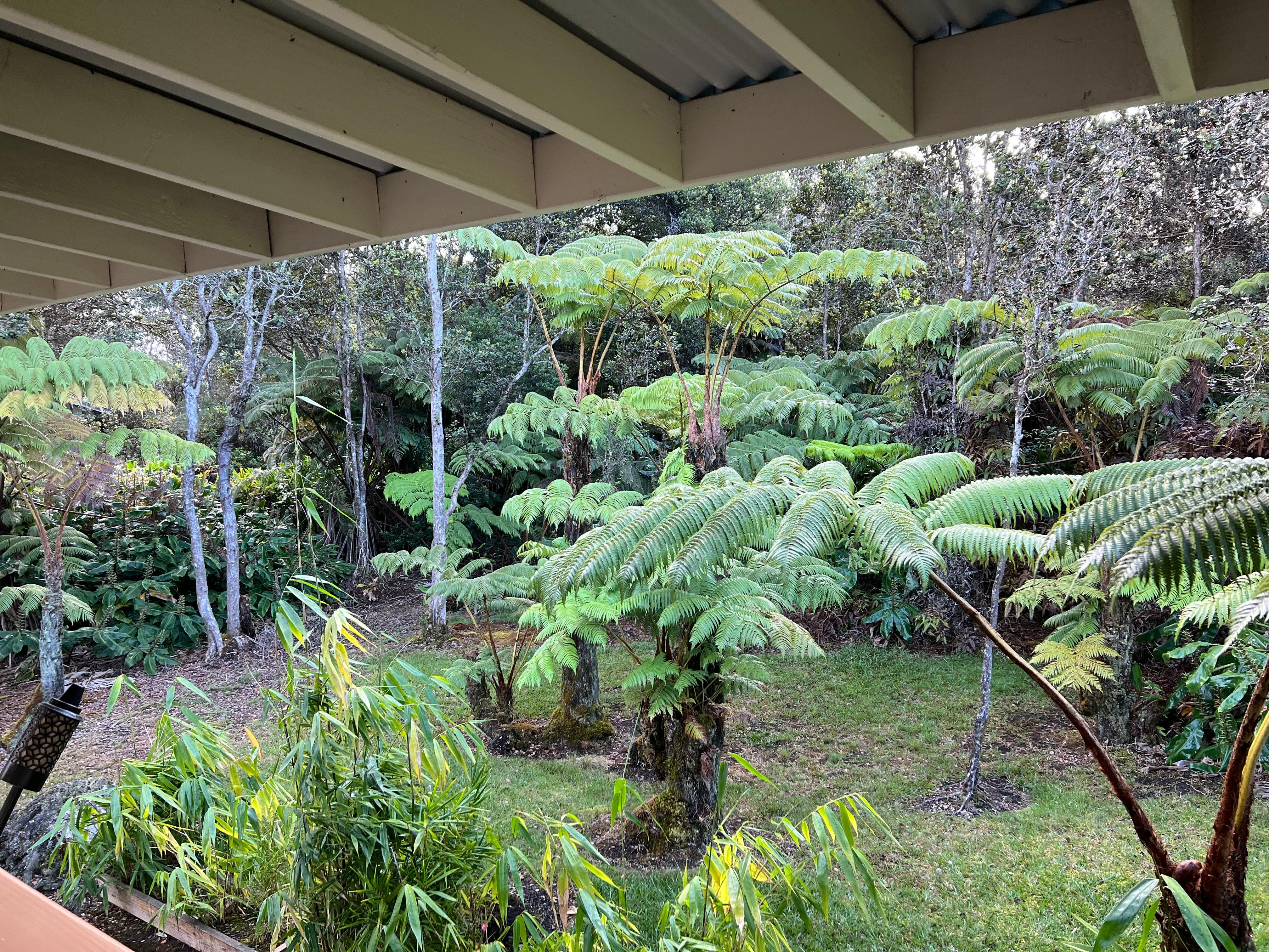 Beautiful view from porch