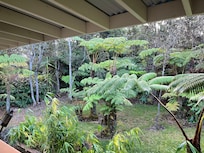 Beautiful view from porch