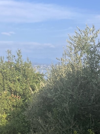 Blick vom Balkon