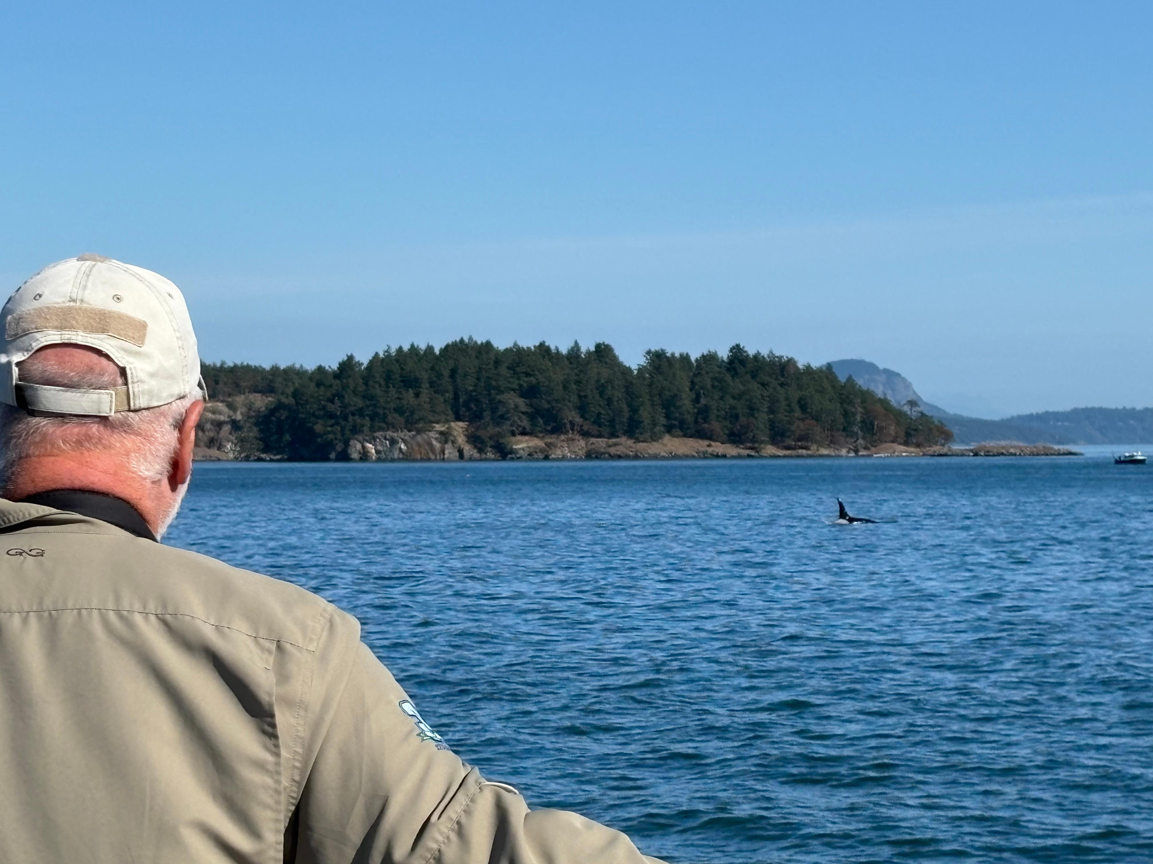 Whale watching was a success!