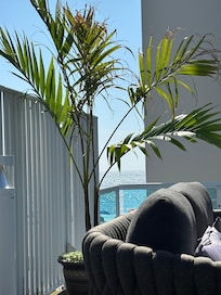 View from lounge by pool.