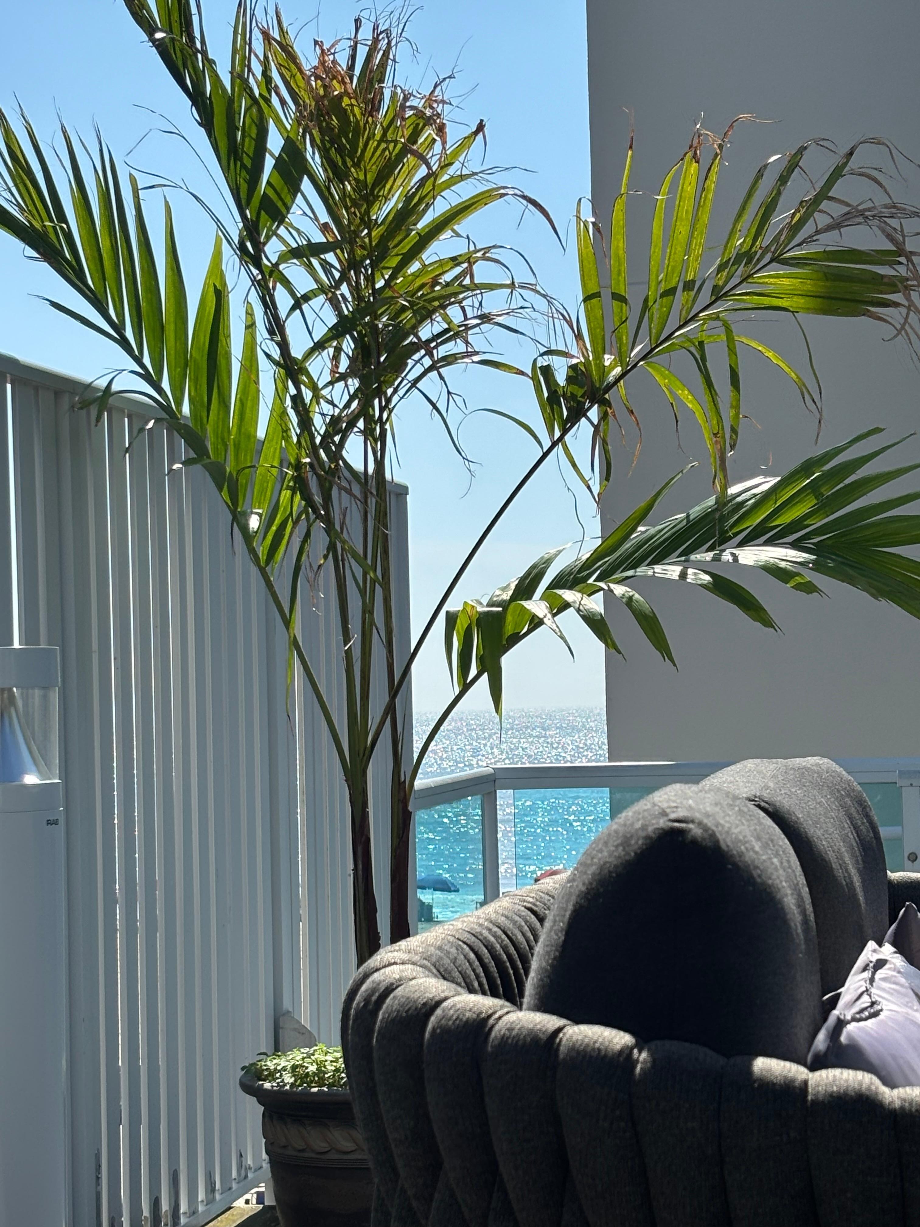 View from lounge by pool.