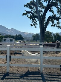 Friendly faces on the ranch made our stay even more special.