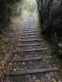 Great walks near by