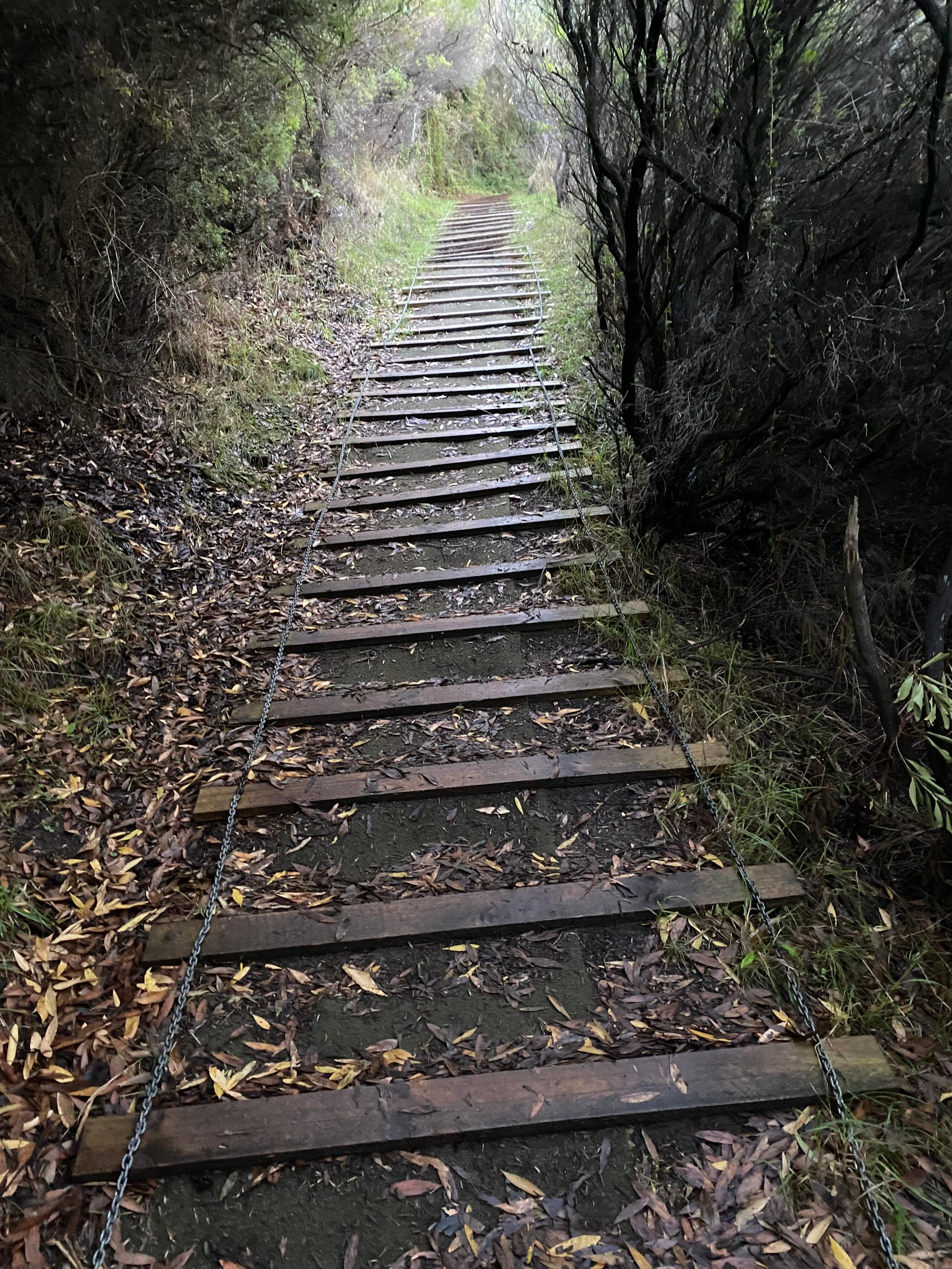 Great walks near by