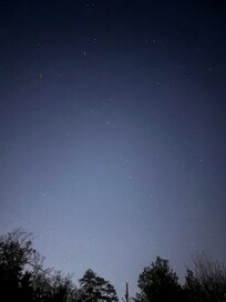 Starry night