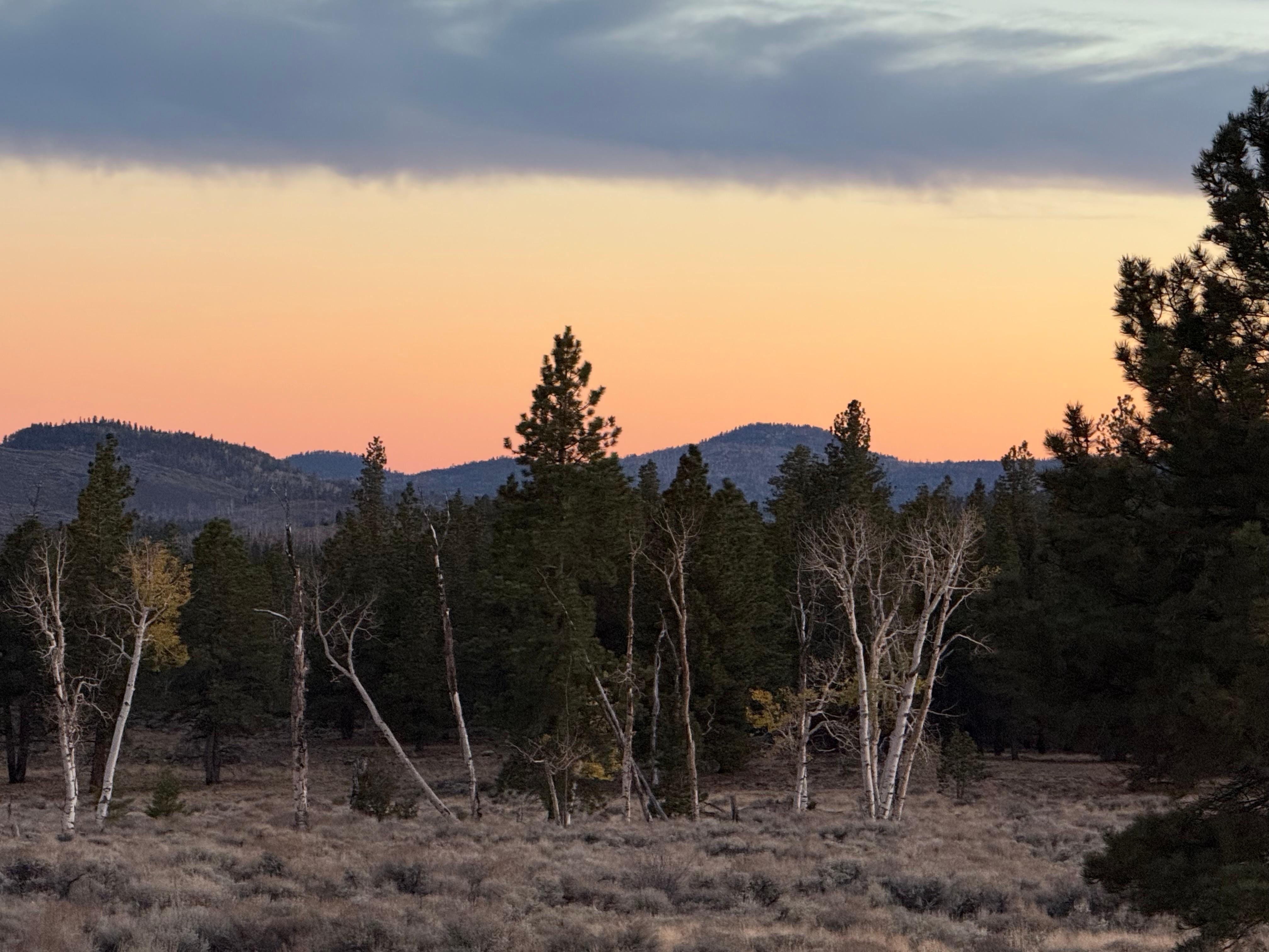 Beautiful sunset hunting