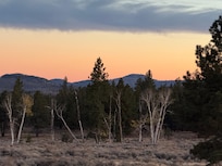 Beautiful sunset hunting