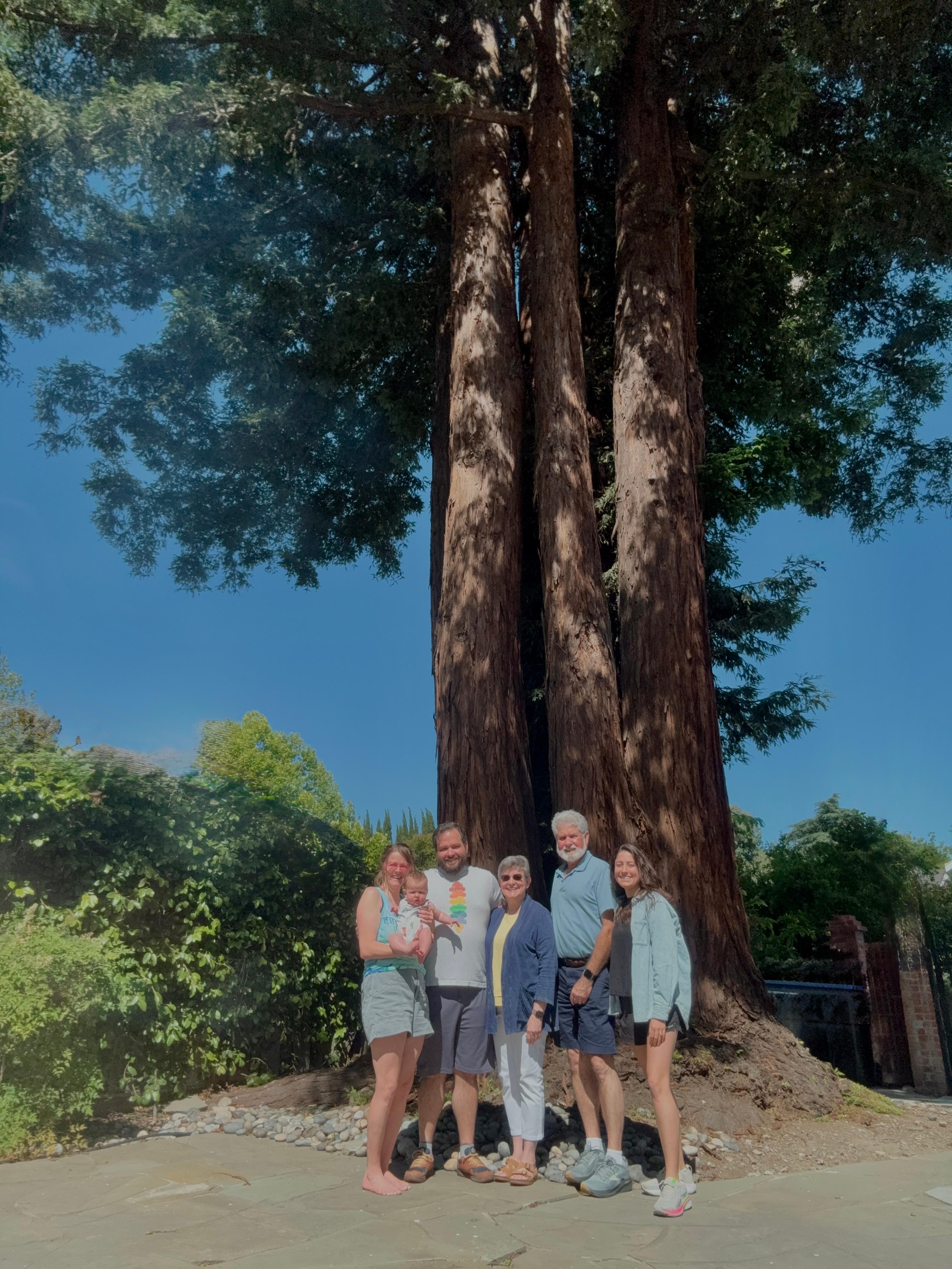 We loved this redwood tree in the backyard!  It was magnificent, like the house.