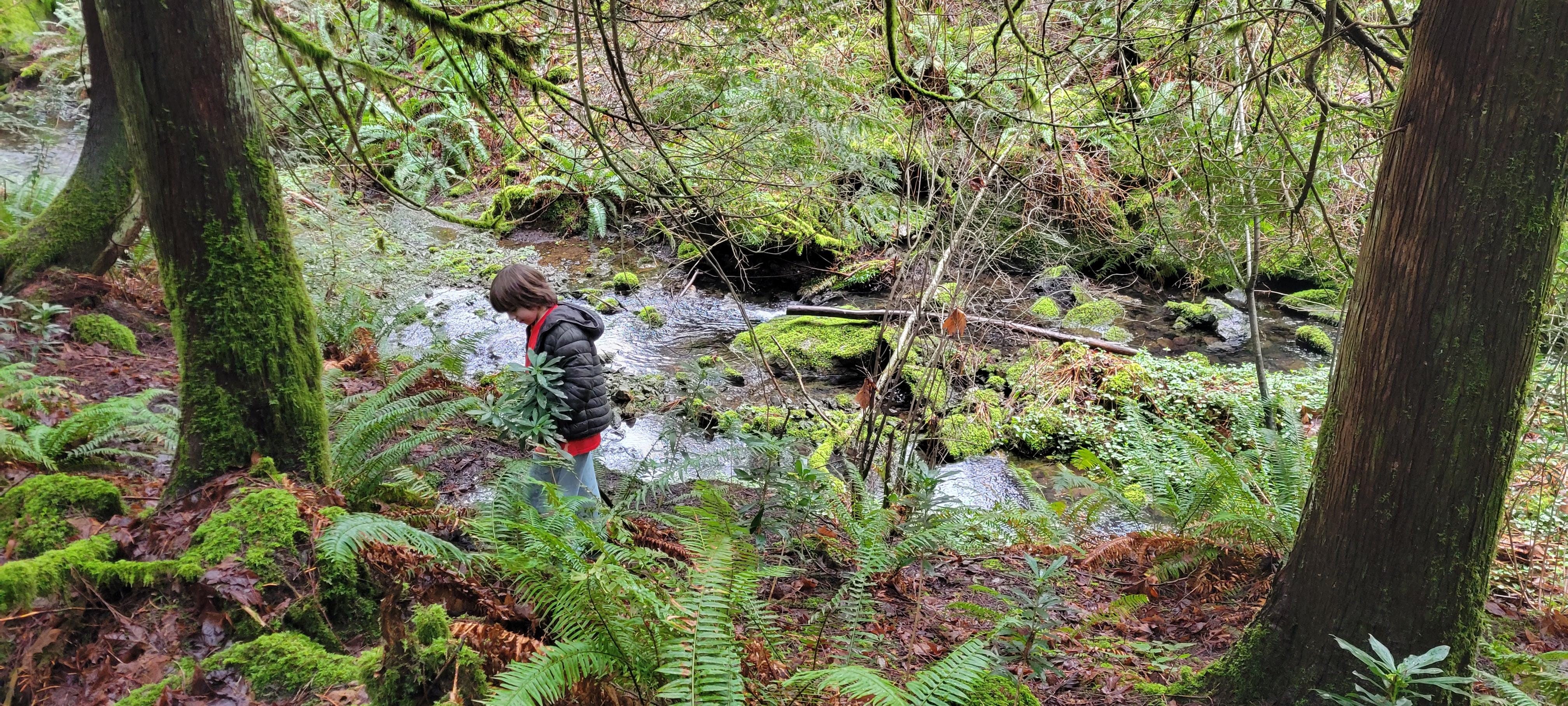 The creek behind the house