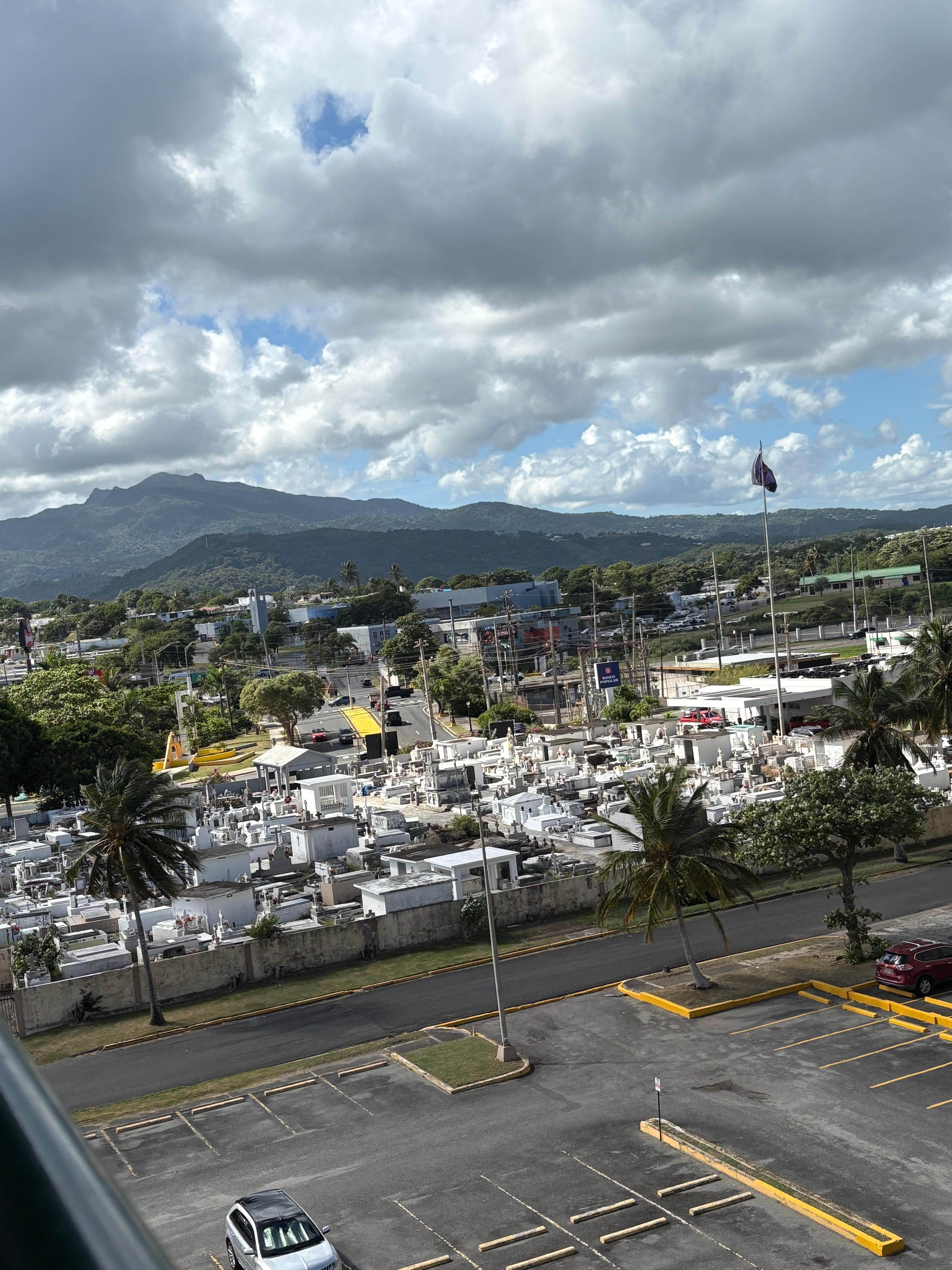 Rainforest View from balcony 