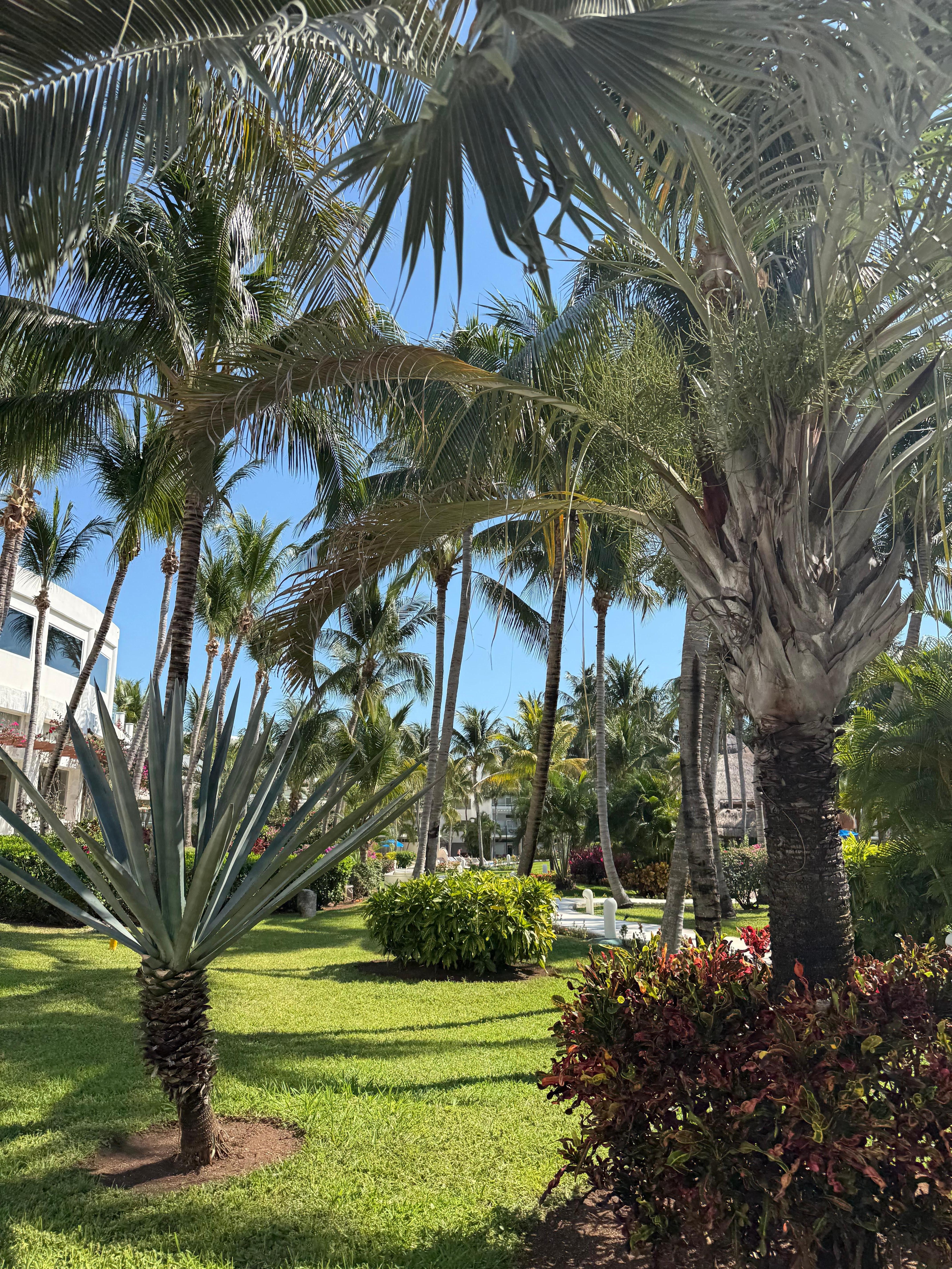 Views within the resort 