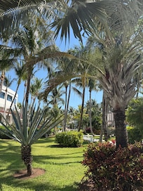 Views within the resort