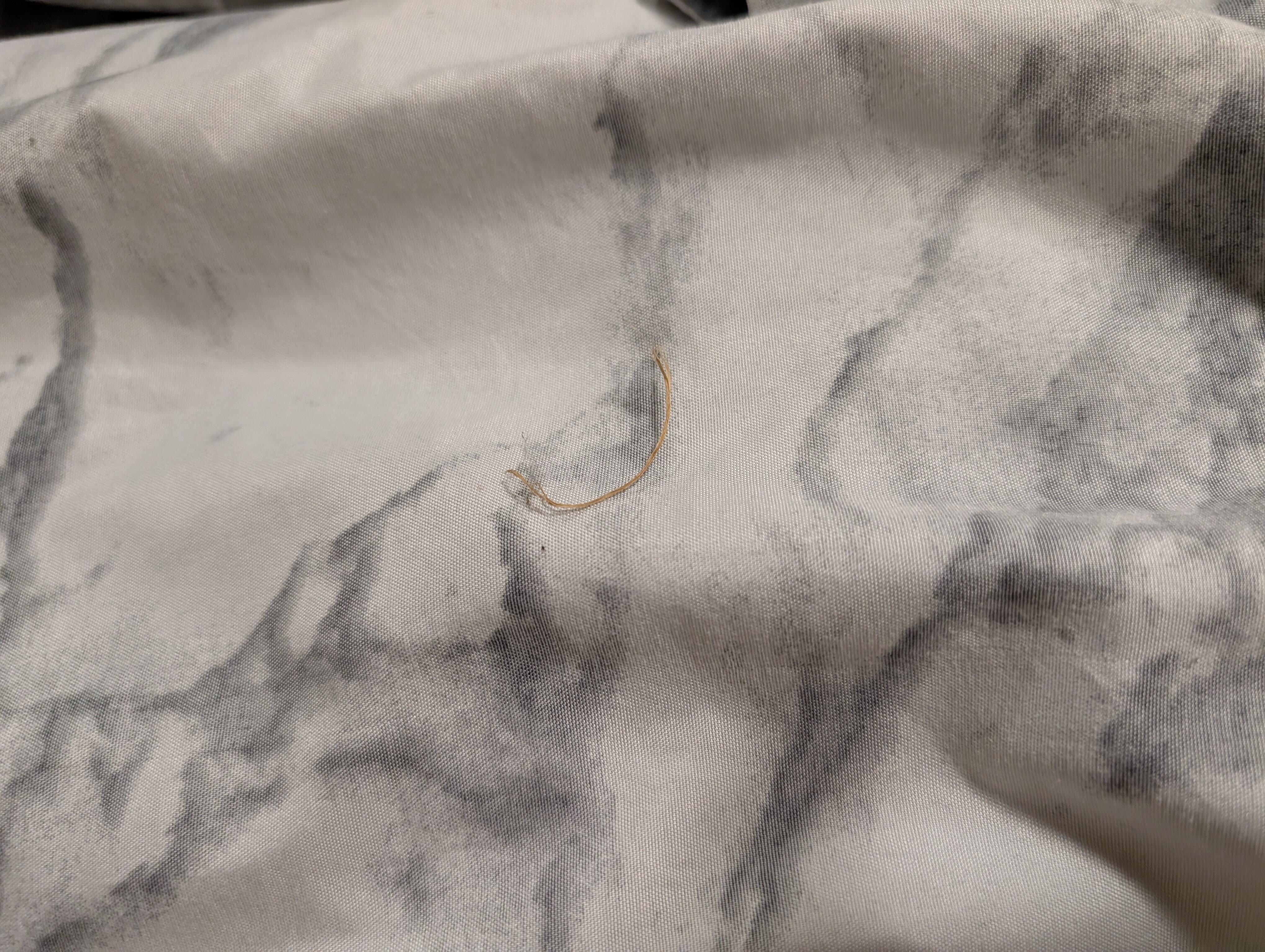 Pubic hair and dirt in the bed