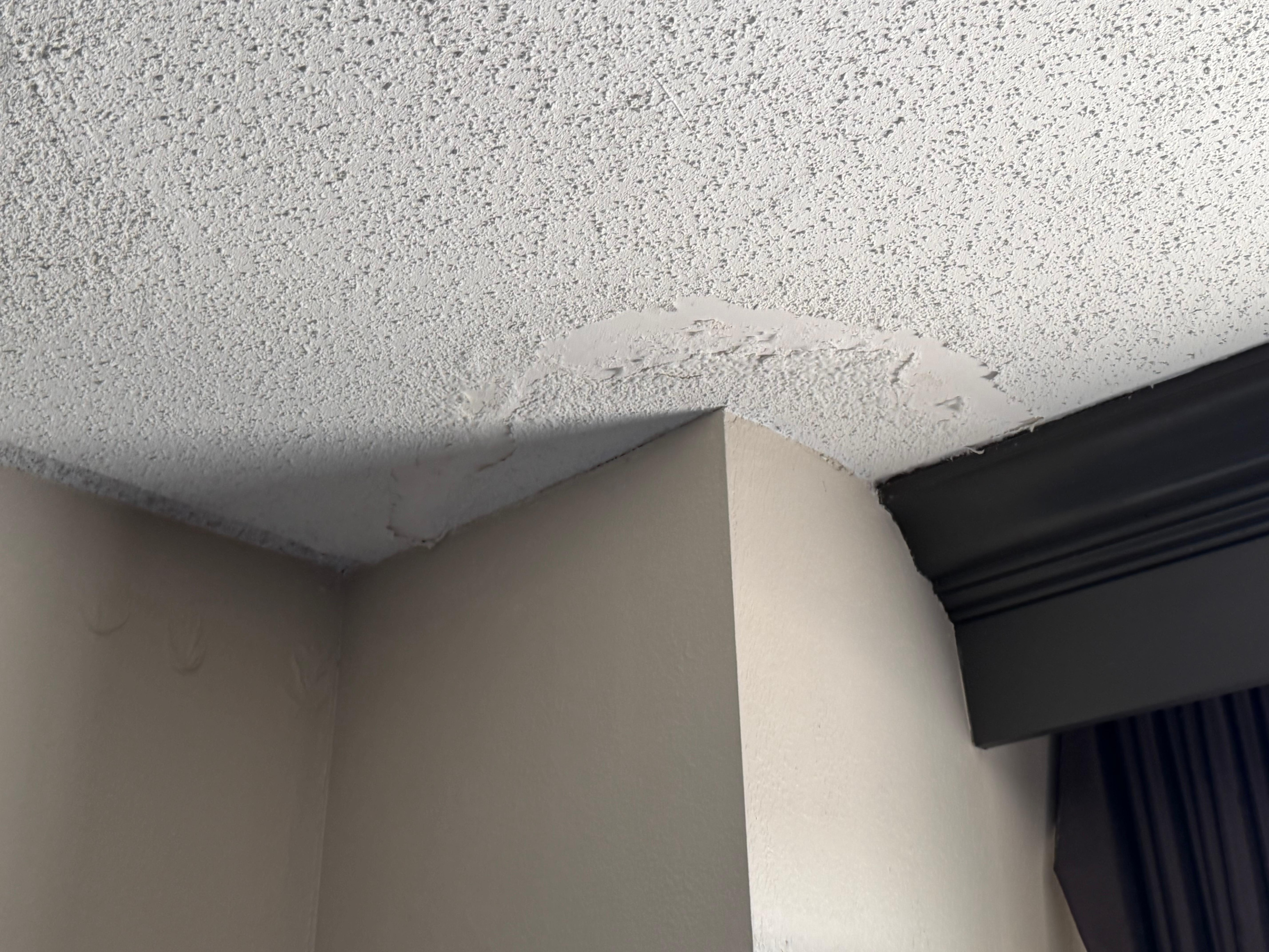 Obvious water Damage