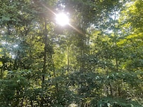 Mountain Morning