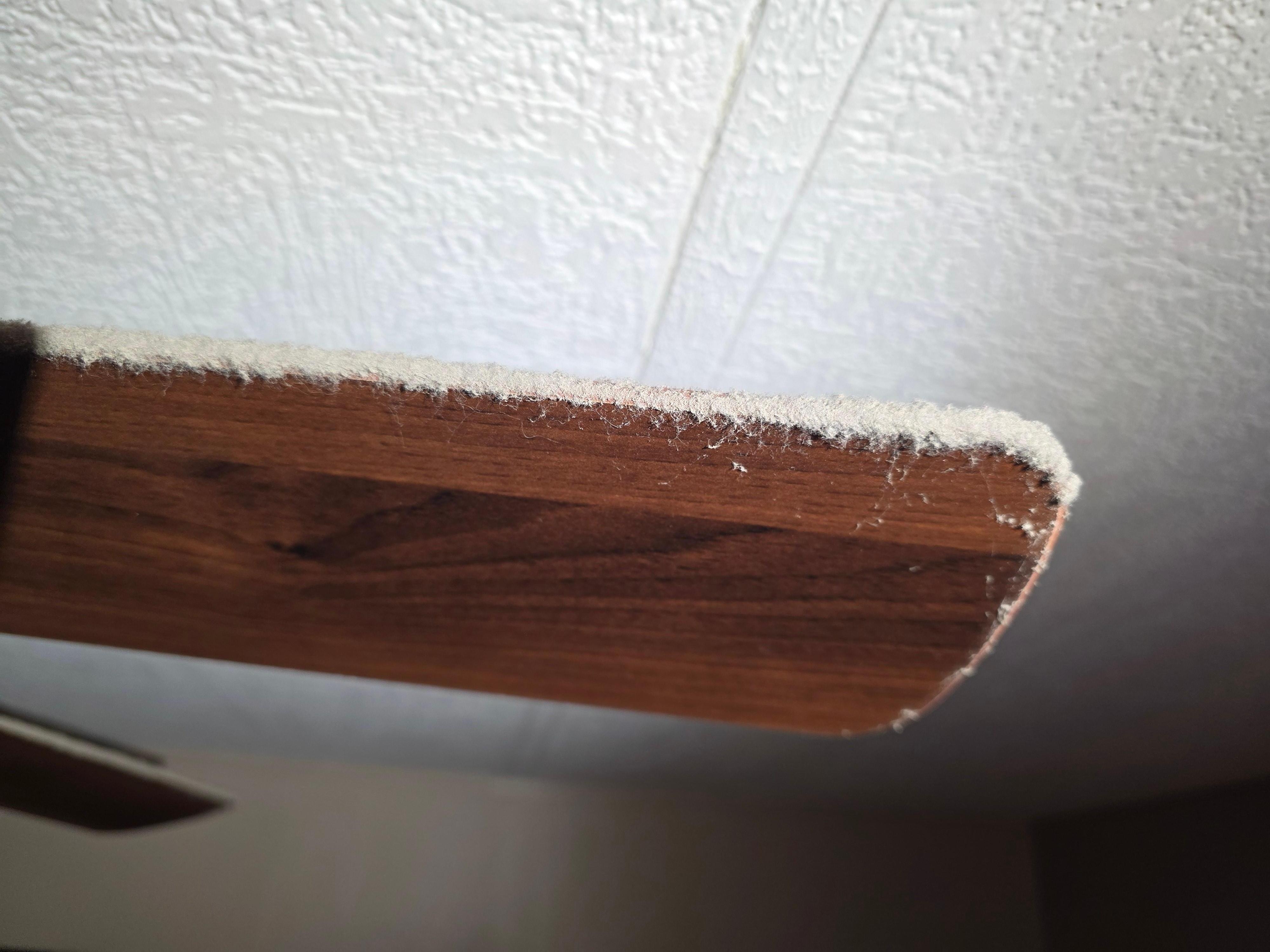 Thick layer of dust on fan
