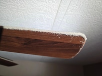 Thick layer of dust on fan