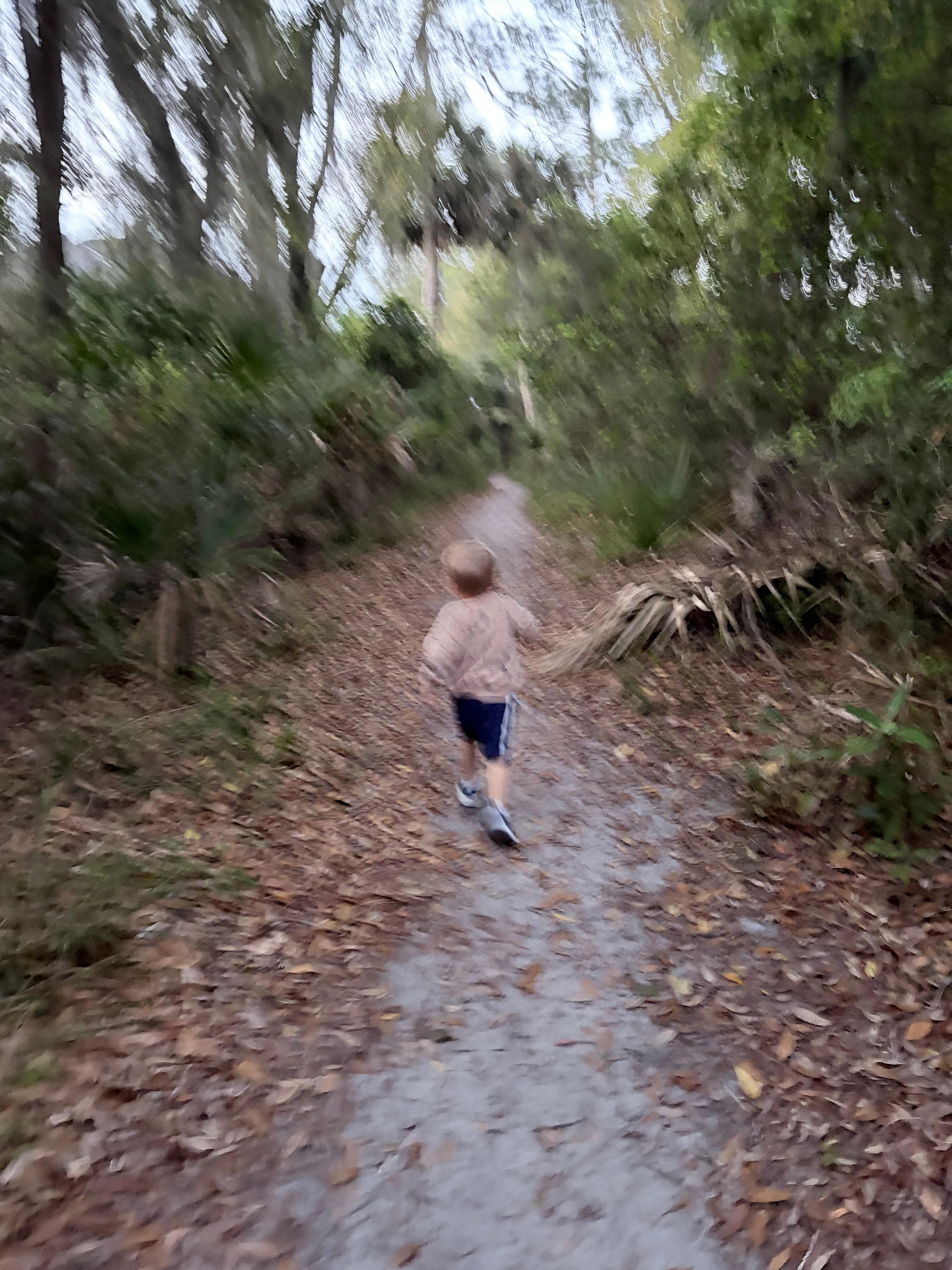 The path to the beach 