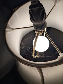 Seriously couldn't dust the spider webs?