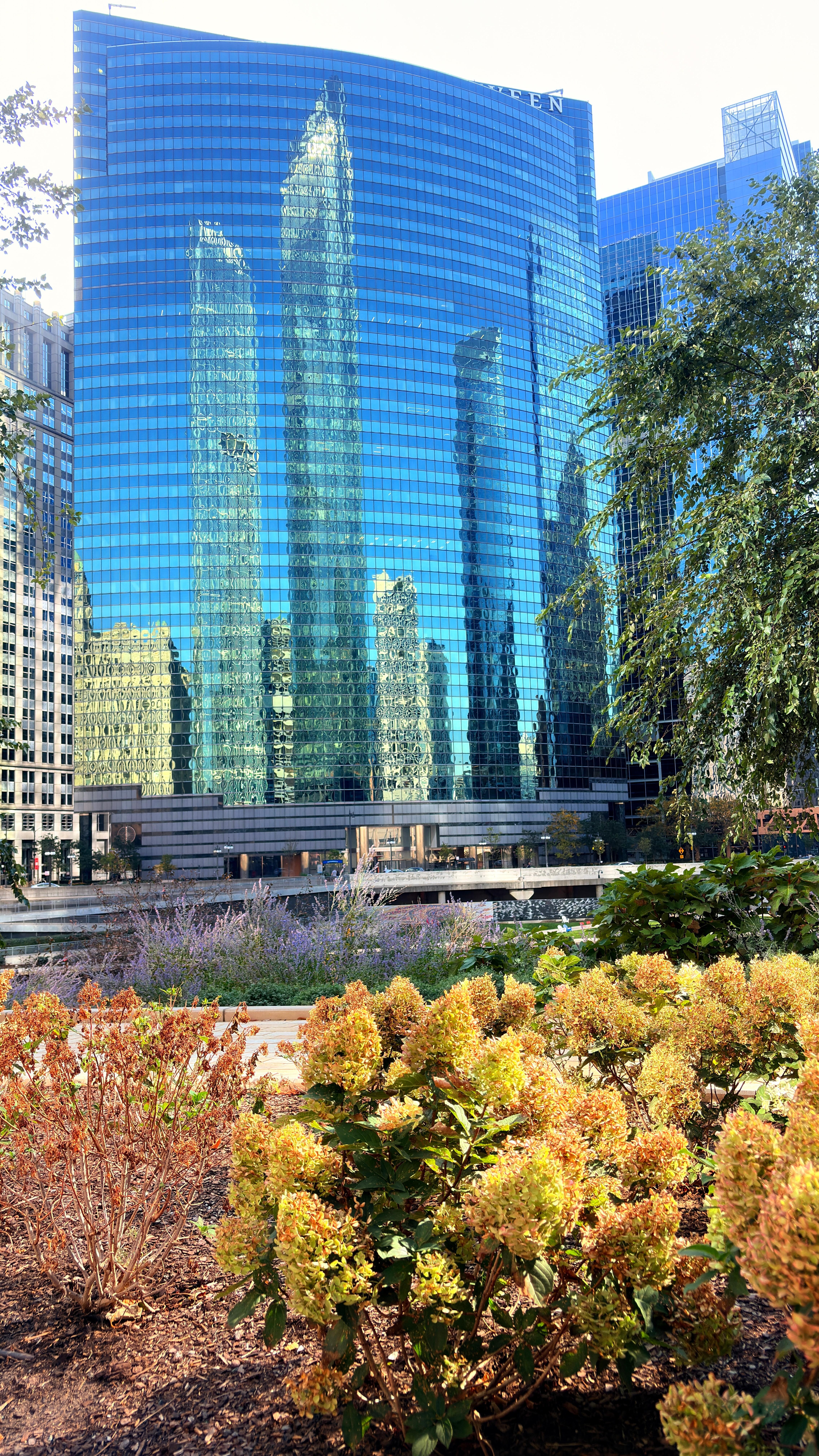 Reflections of the hi-rise buildings.