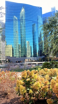 Reflections of the hi-rise buildings.