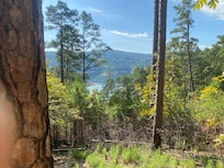 These are from Lake Ouachita not a far drive from here we stayed.