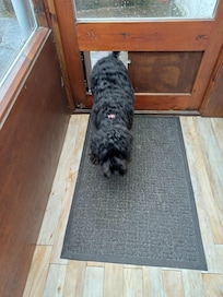 Dog friendly