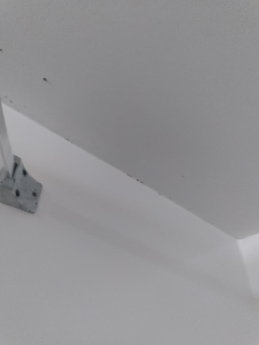 Mold