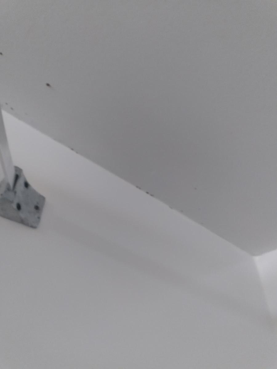 Mold