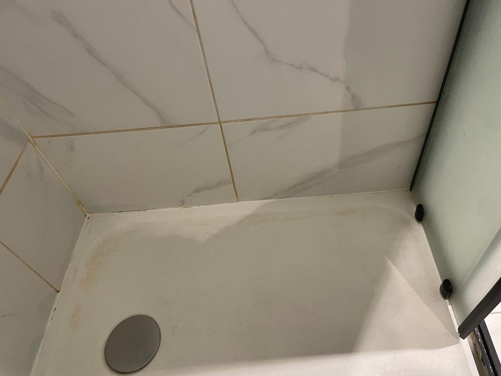 Shower grime (upon first entering apartment), toilet was similarly discolored/dirty