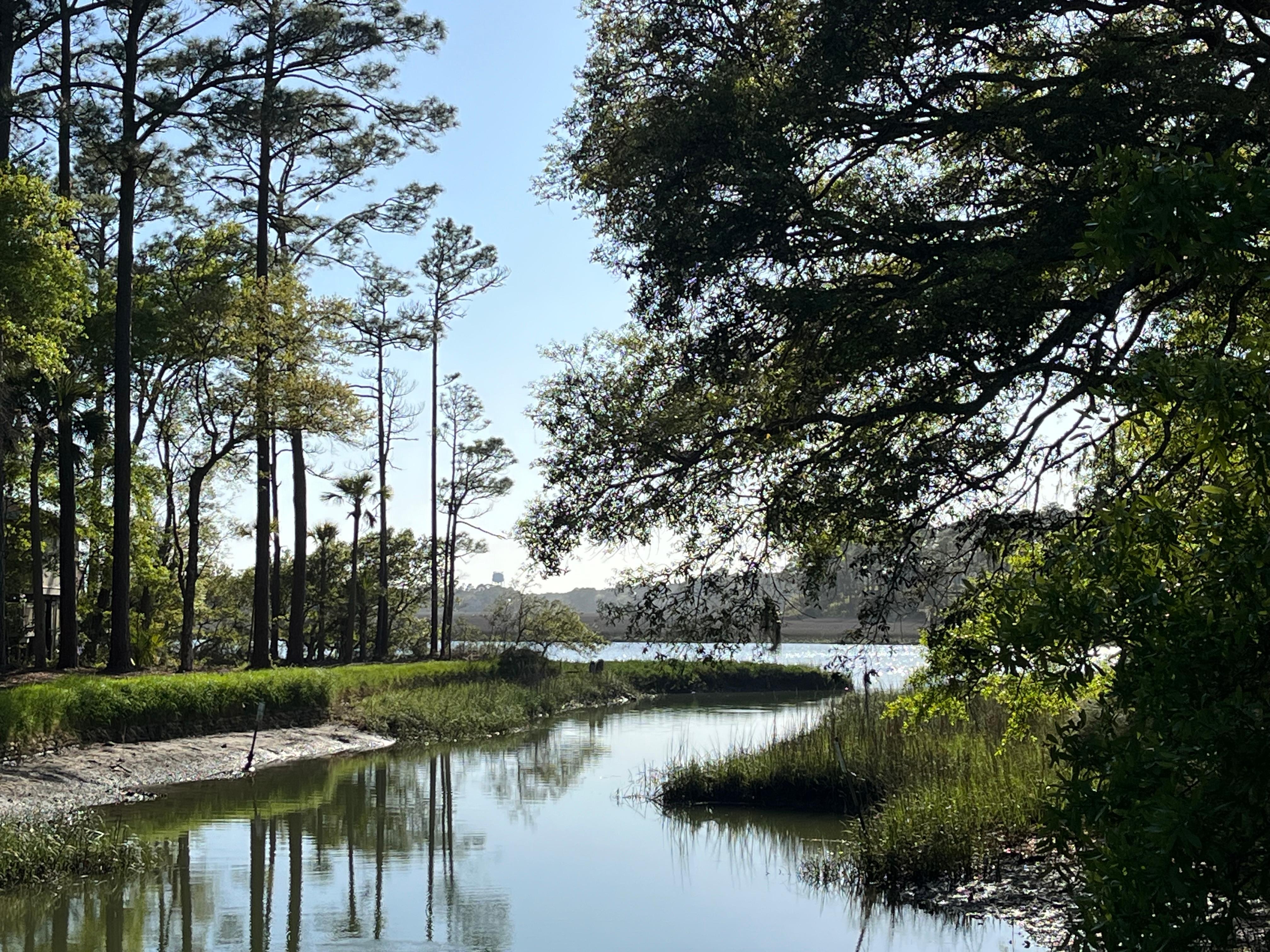 A view from the pedestrian bridge in the gated community 
