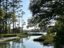 A view from the pedestrian bridge in the gated community