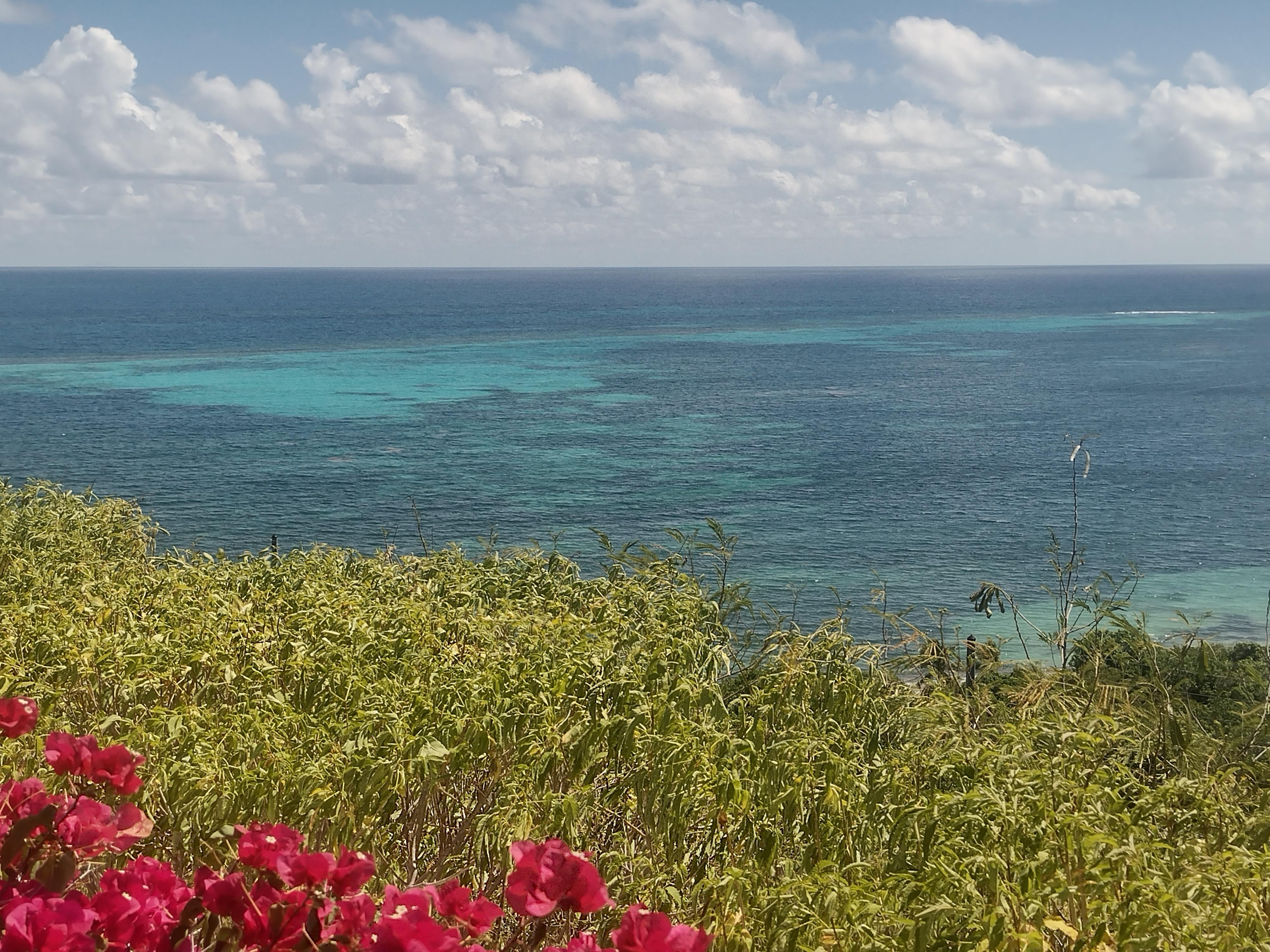 House view, colorful water!