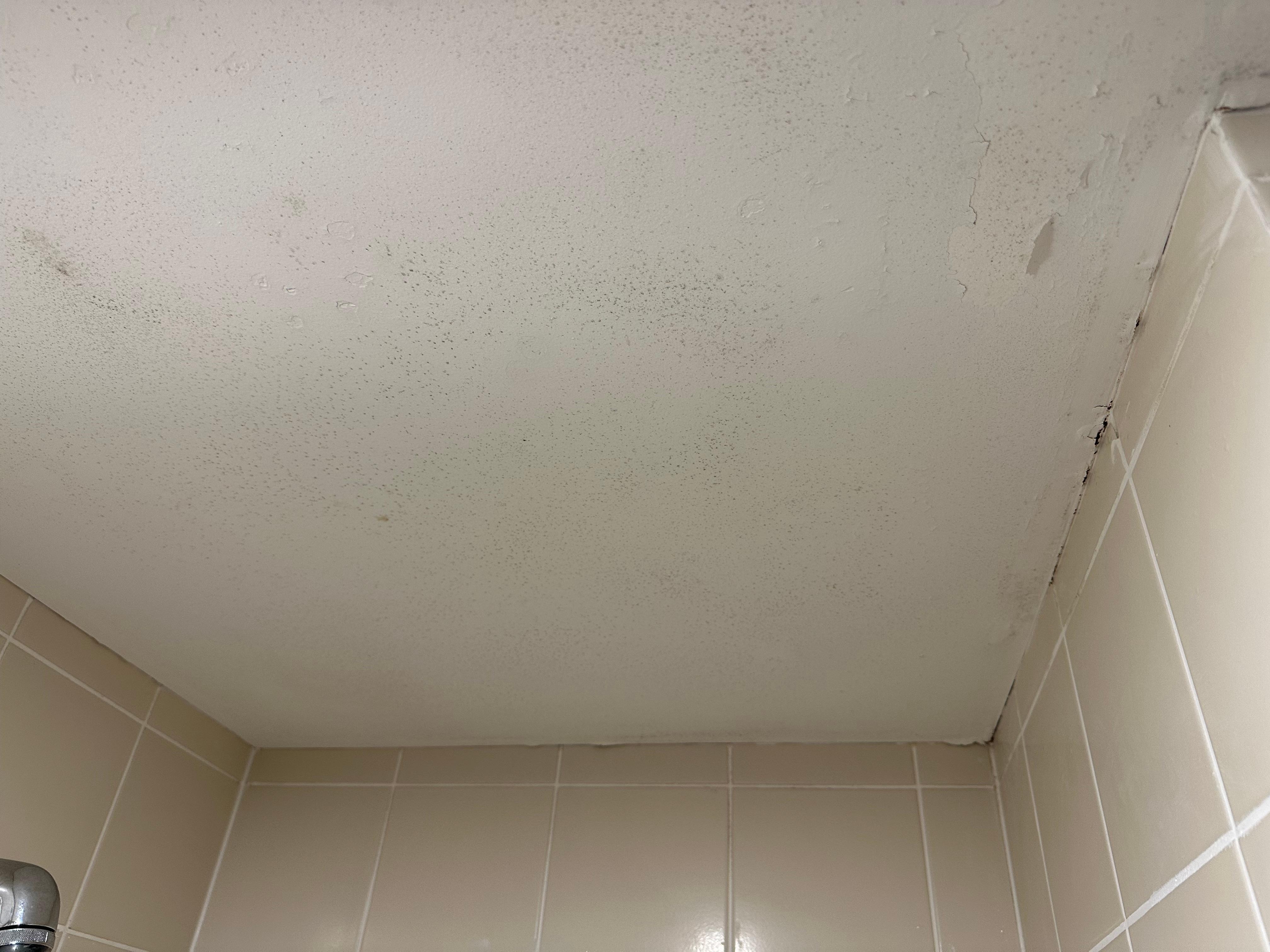 black mould in the ceiling