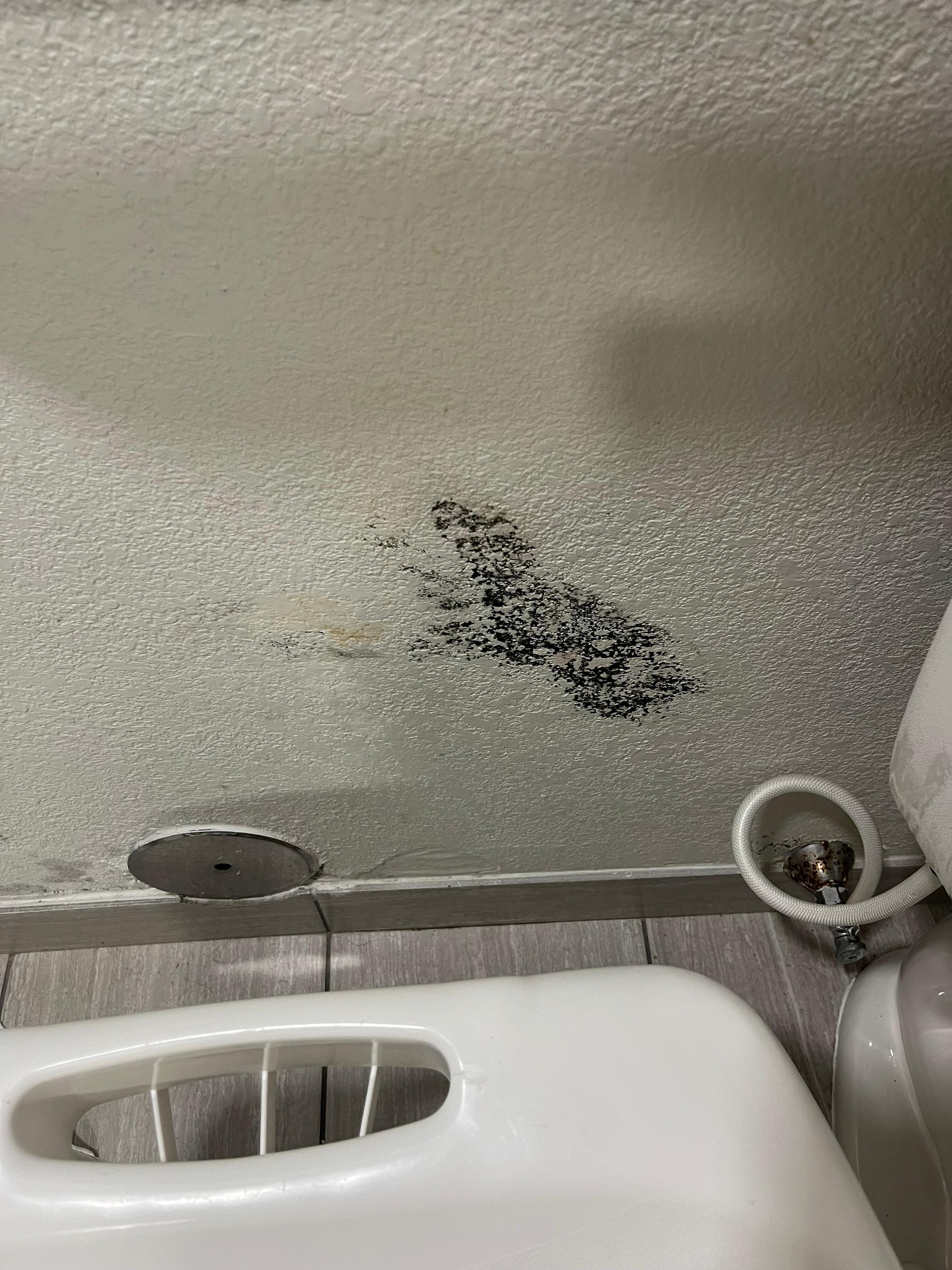 Mold in our bathroom