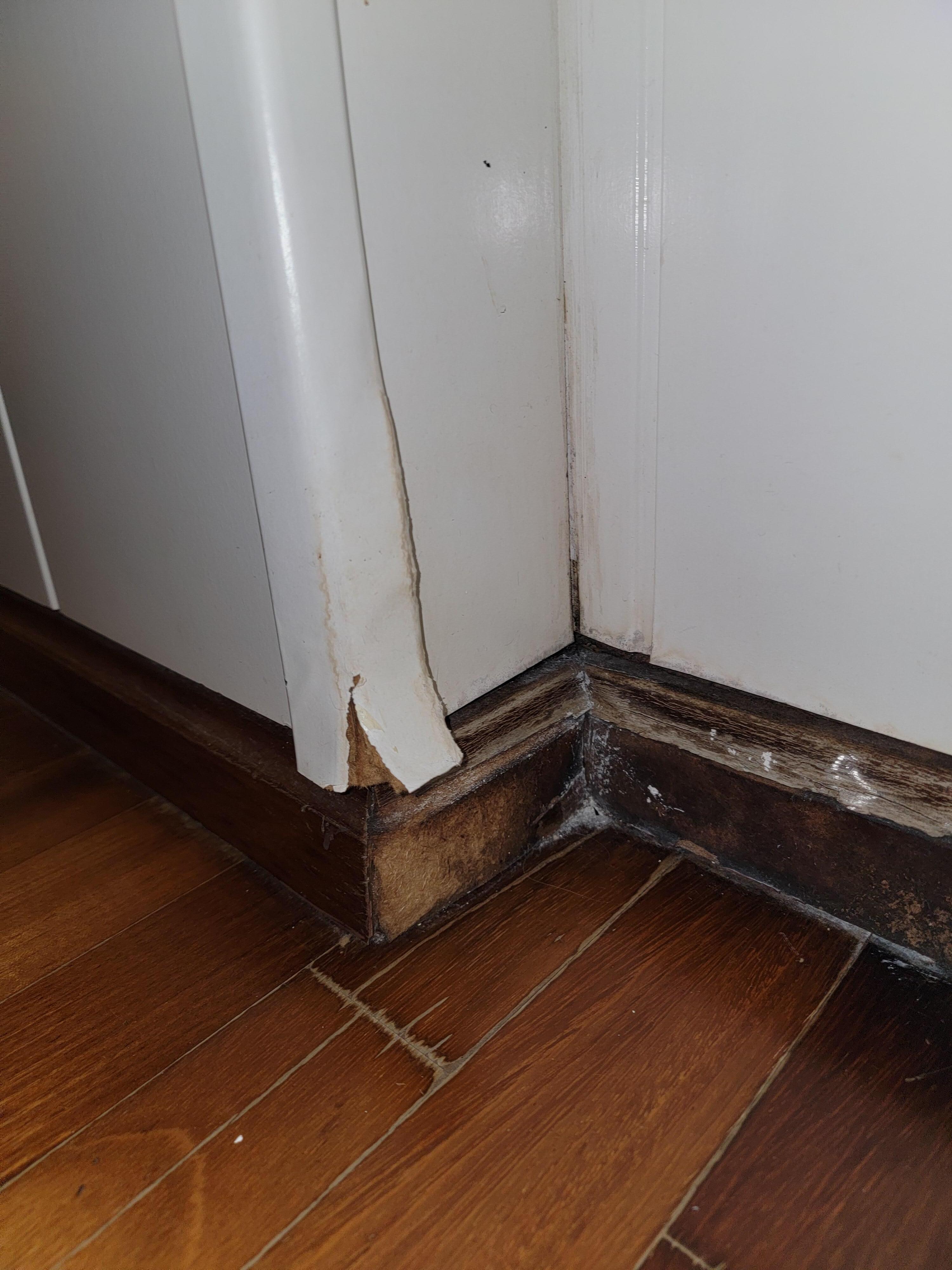 Large gaps in molding allow for easy entry