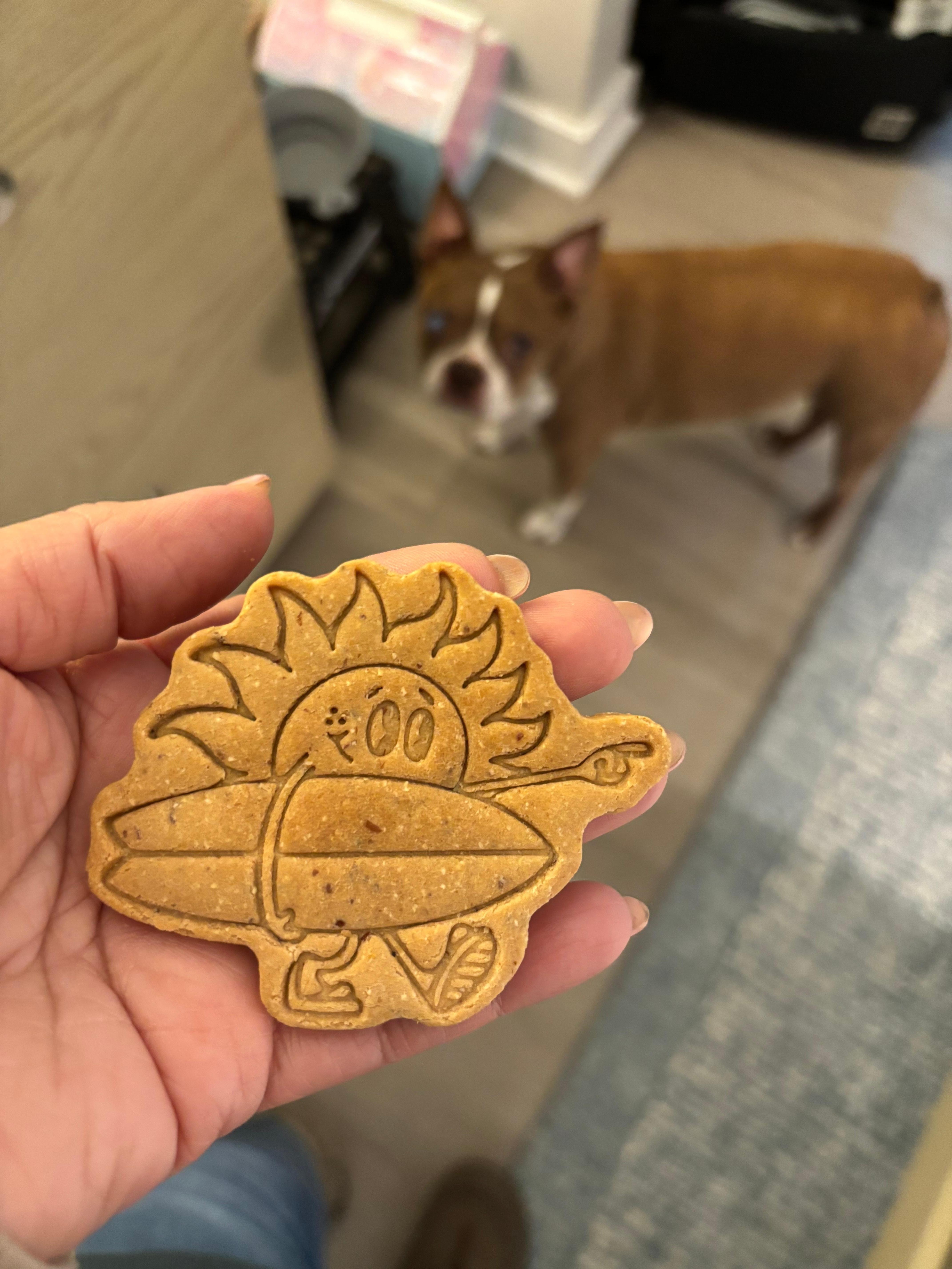 My fur baby enjoyed her stay!  They even had treats for her!