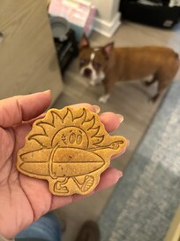 My fur baby enjoyed her stay! They even had treats for her!