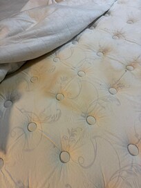 Biohazard of a mattress!!!