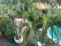 View overlooking pool
