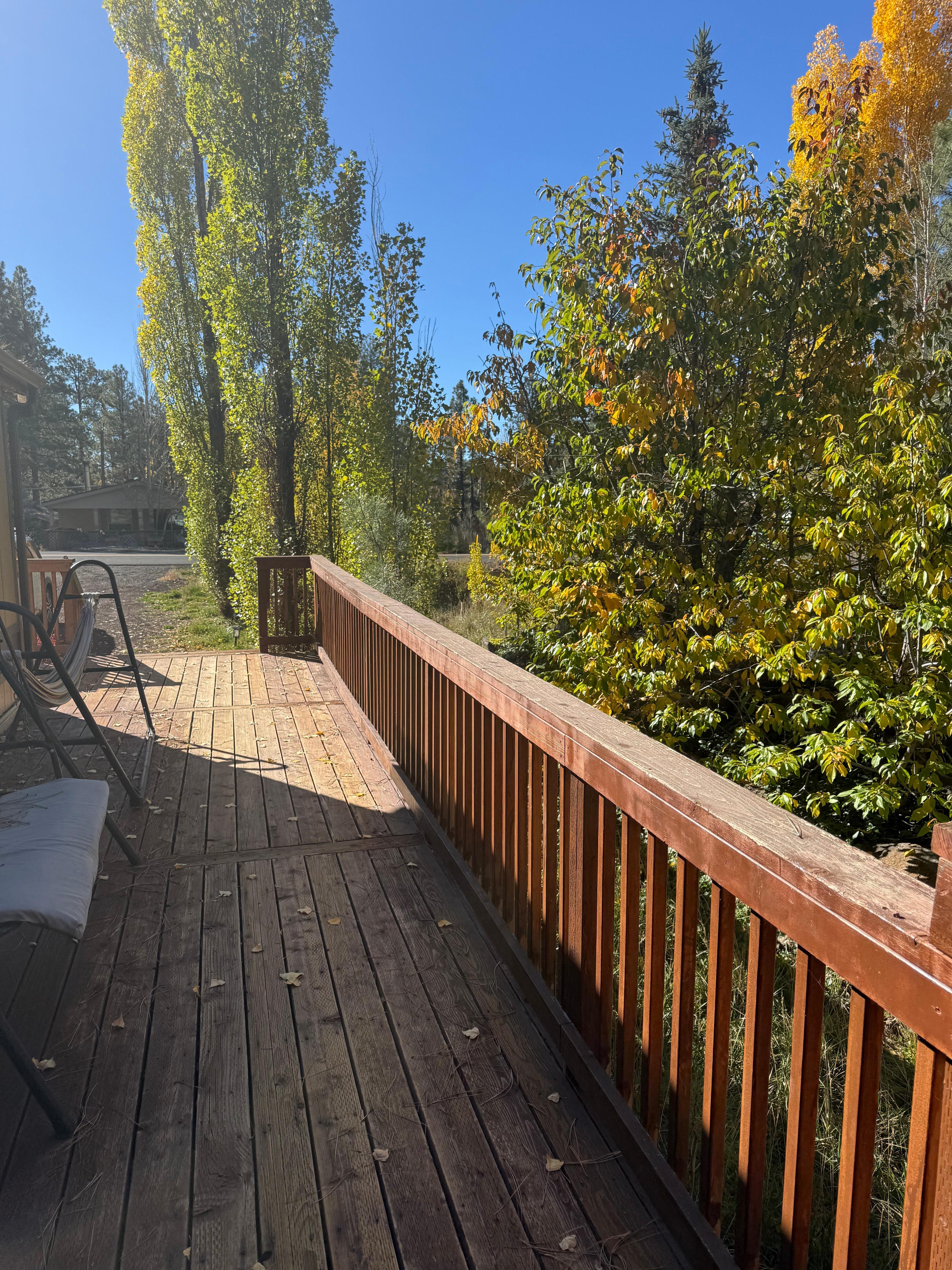 The deck next to trees.