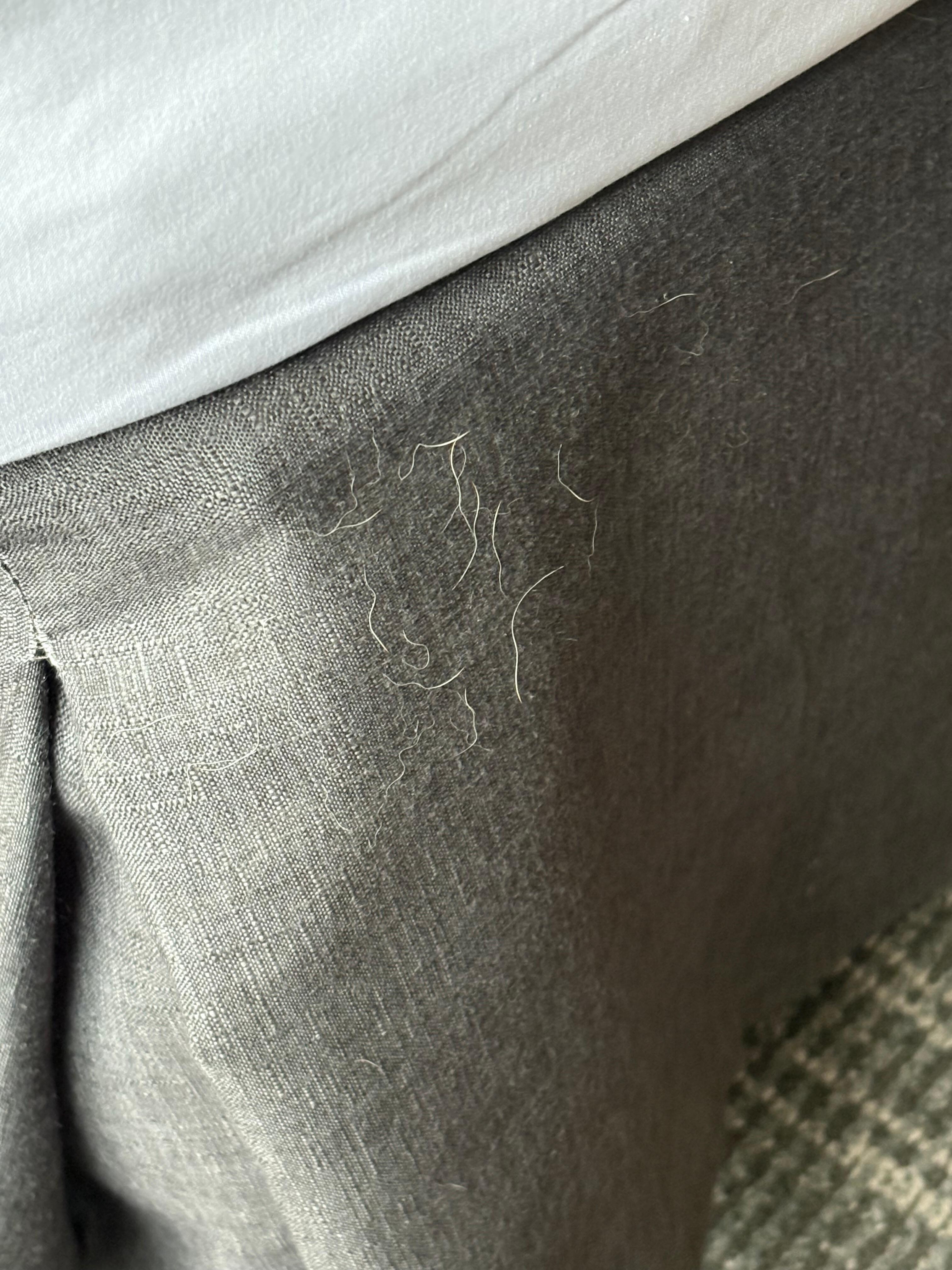 White dog hair from previous stay.