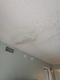Black dirt coming out of vents