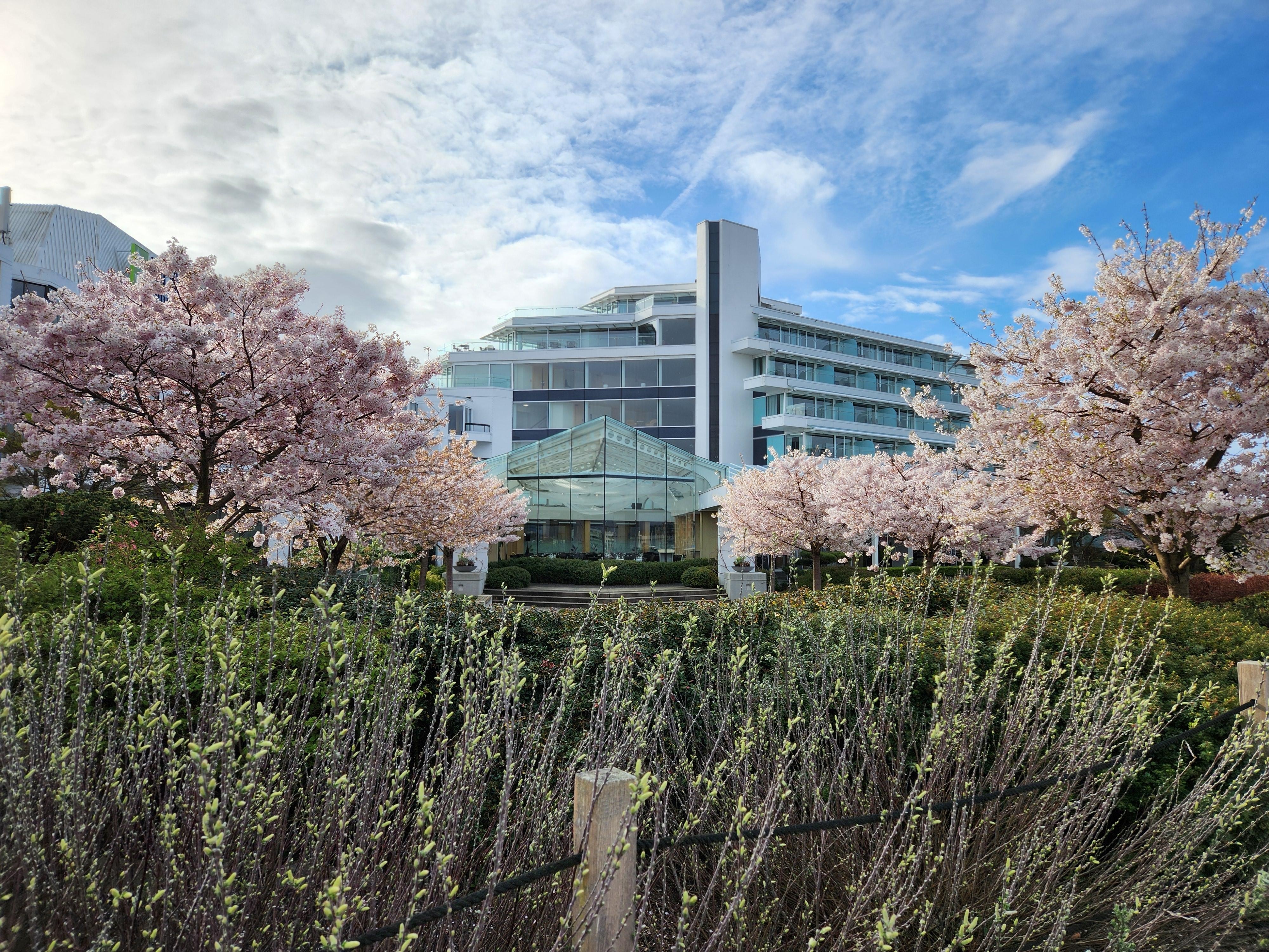 From walkway looking toward our room/hotel