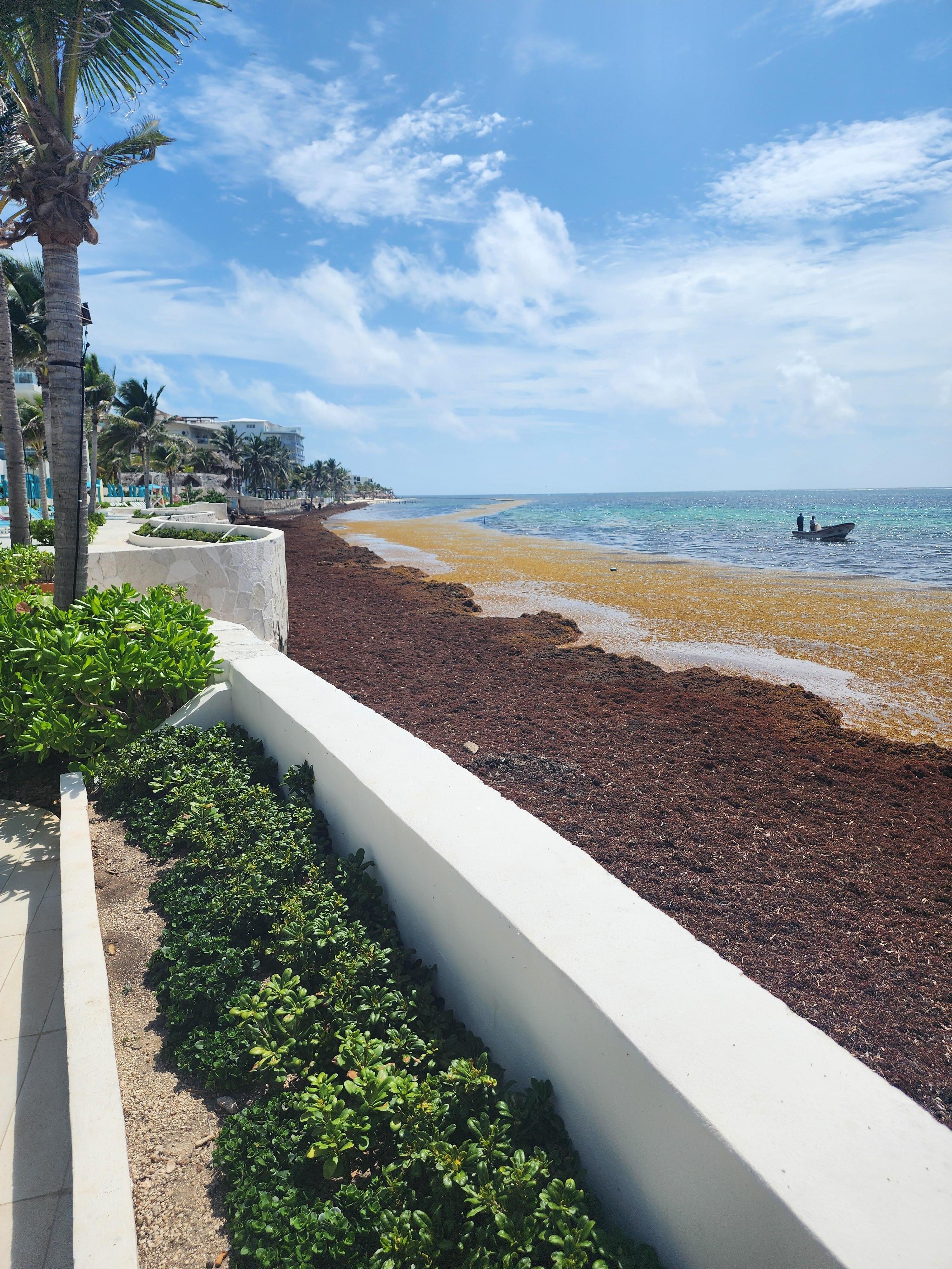 Other properties clean there beach. Not these guys