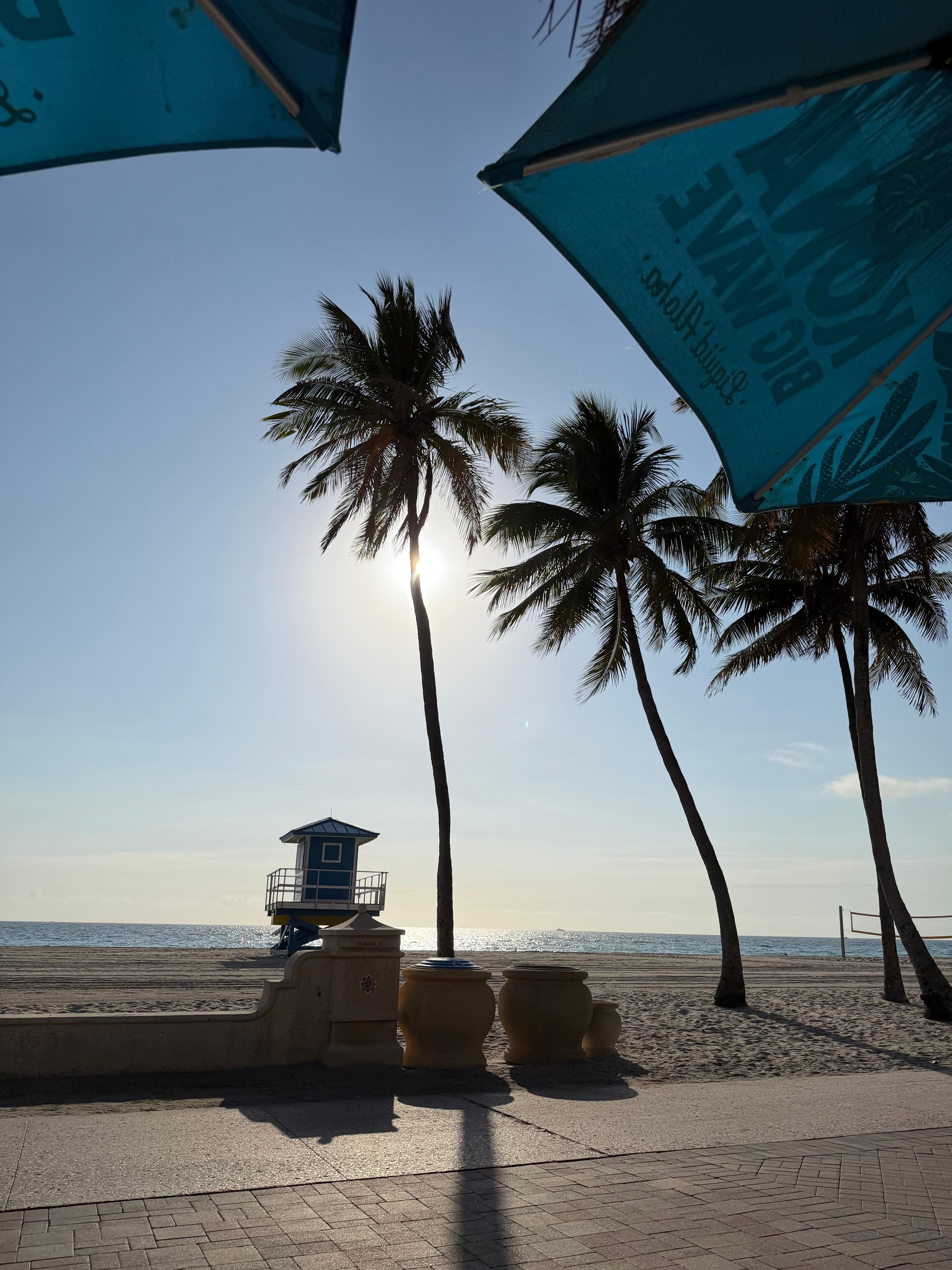 View from the boardwalk